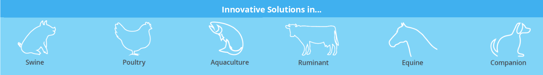 Animal Health Innovation, Innovative Solutions in...